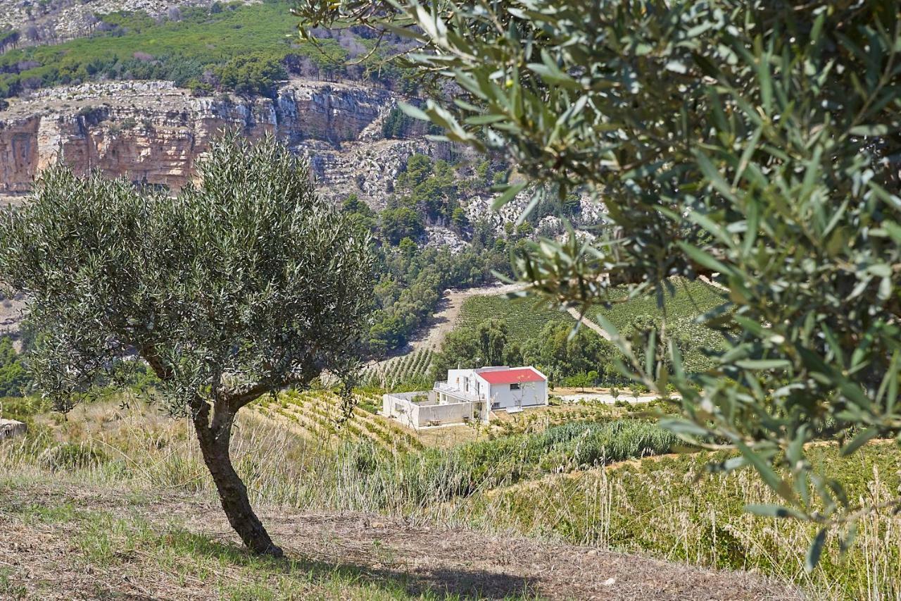 Villa Bonifato Vista Sulle Campagne E Sul Mare Siciliano Cozy House Italy Алькамо Екстер'єр фото